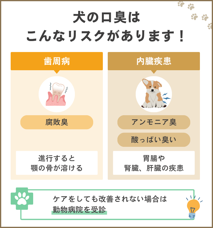 愛犬の口臭は放置してはだめ！原因とリスク