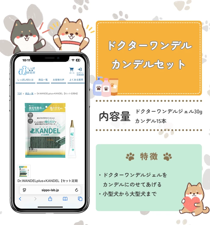 ドクターワンデル+カンデルセット