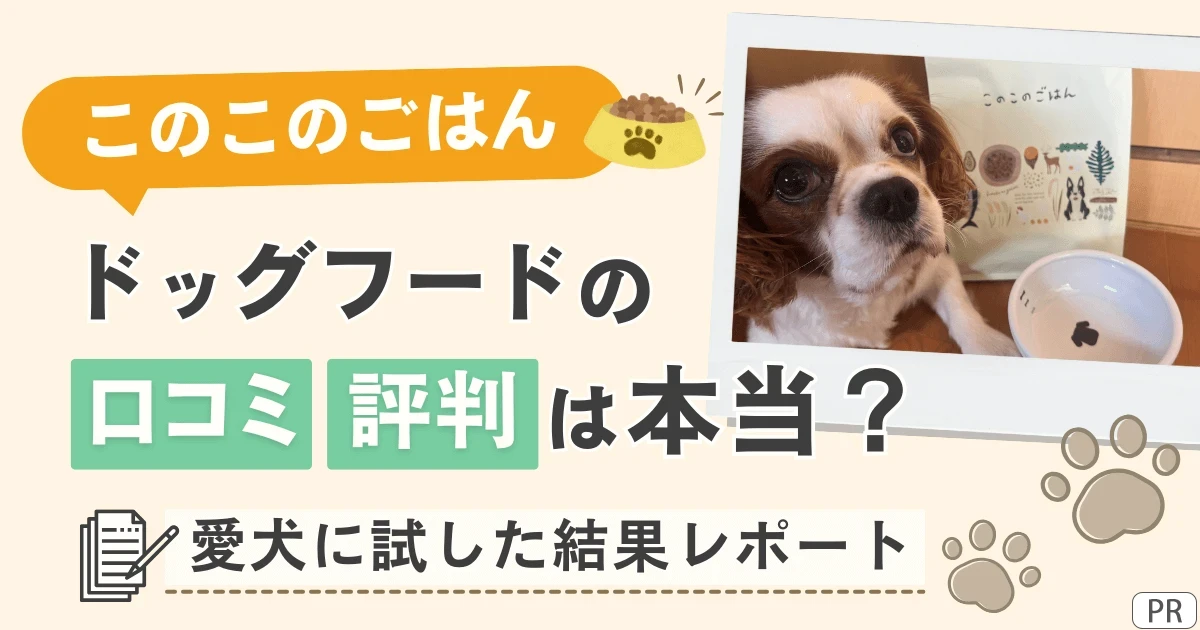 このこのごはんドッグフードの口コミ・評判は本当？愛犬に試した結果レポート