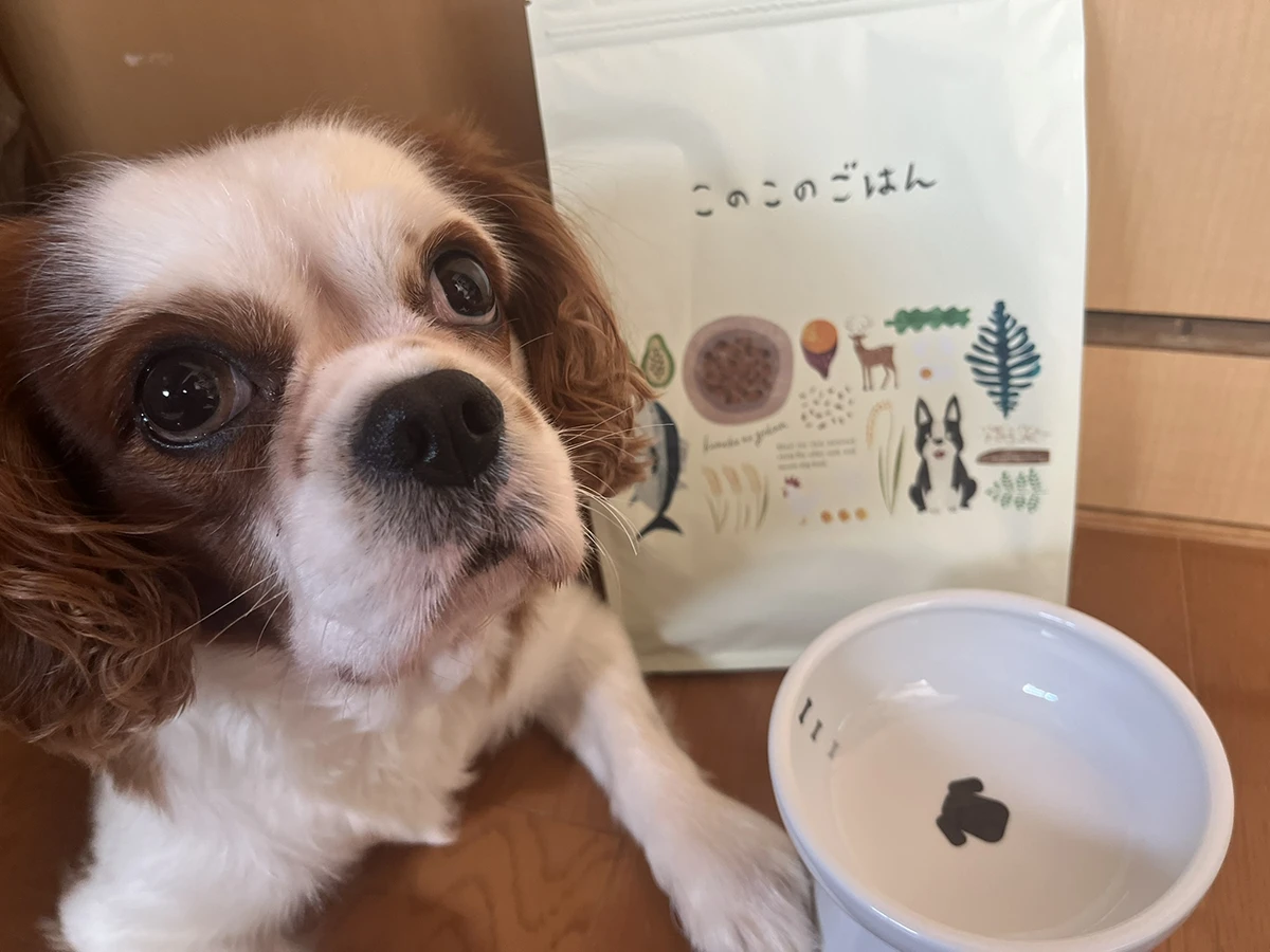 このこのごはんは小型犬向けのフードです