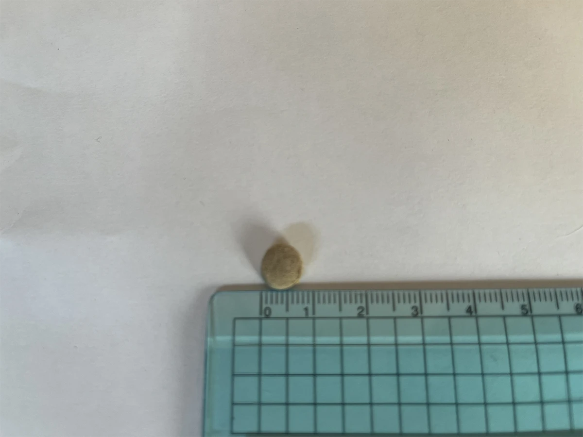 このこのごはんの粒は7~8ミリくらい